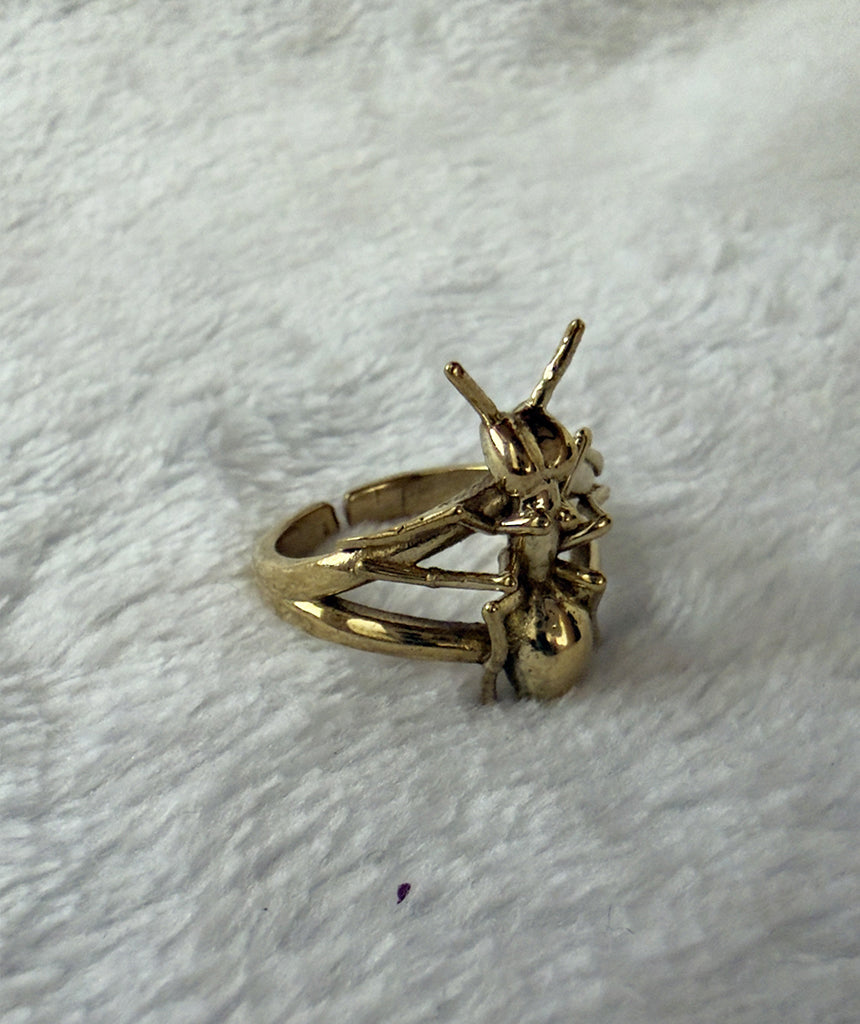 Ant Ring