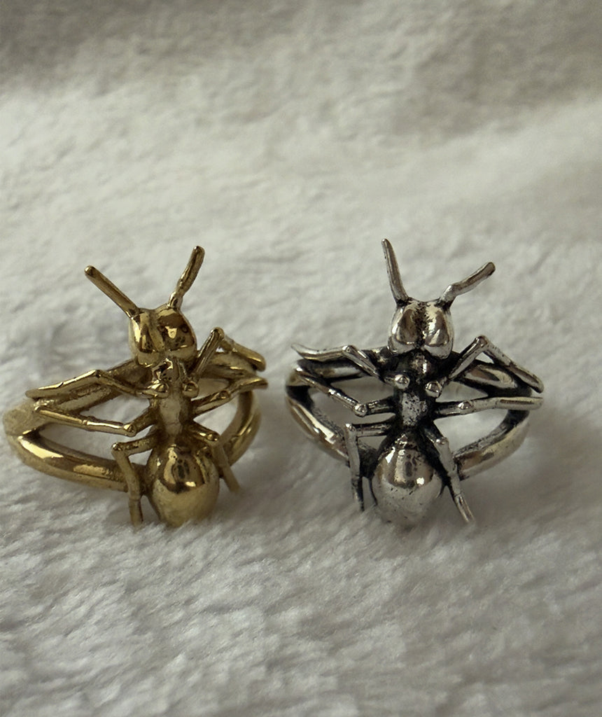 Ant Ring