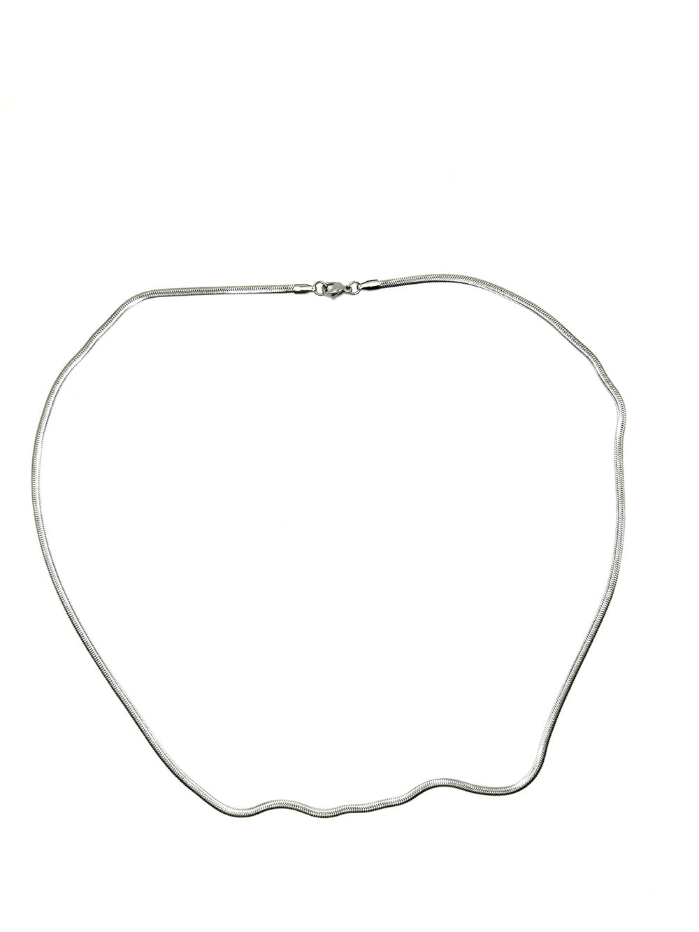 Snake Chain Necklace