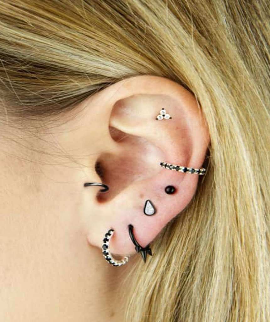 Black Surgical Steel Hinged Septum