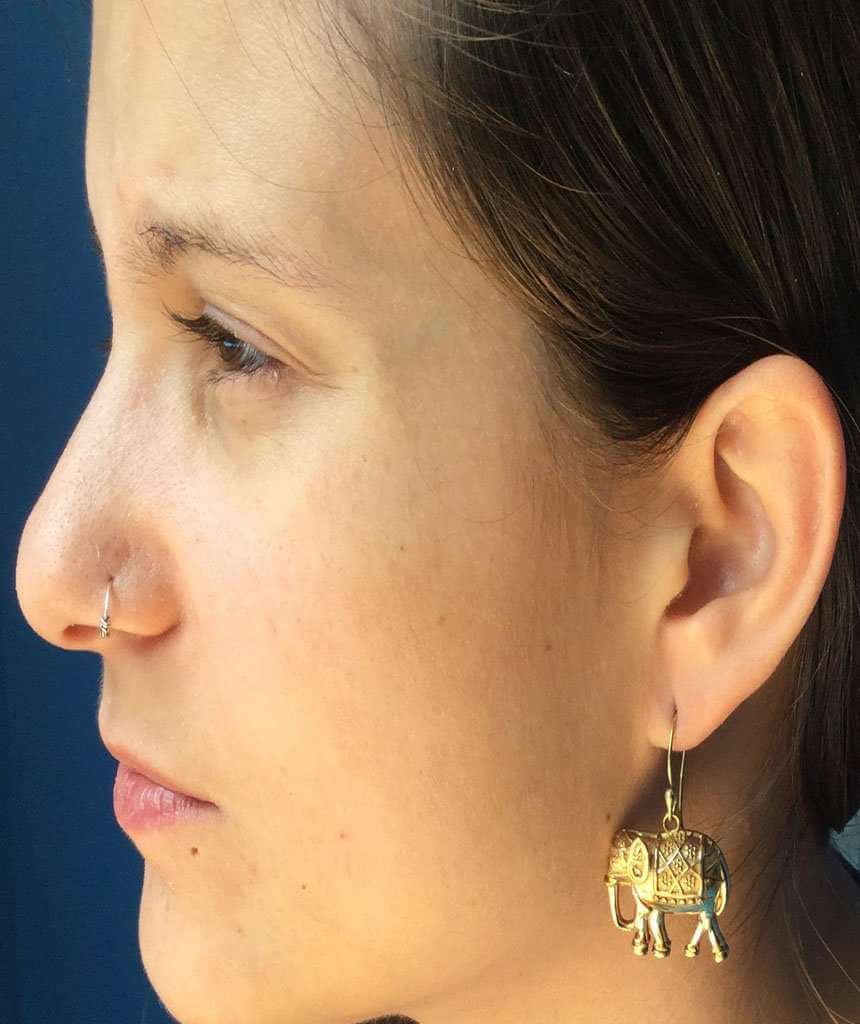 Gold Elephant Earrings