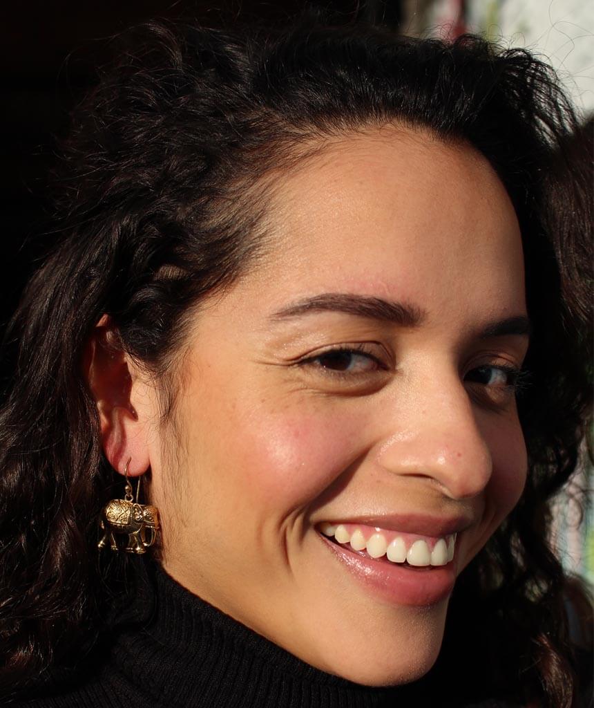 Gold Elephant Earrings