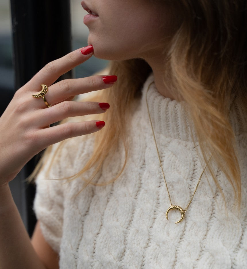 Gold Horn Necklace