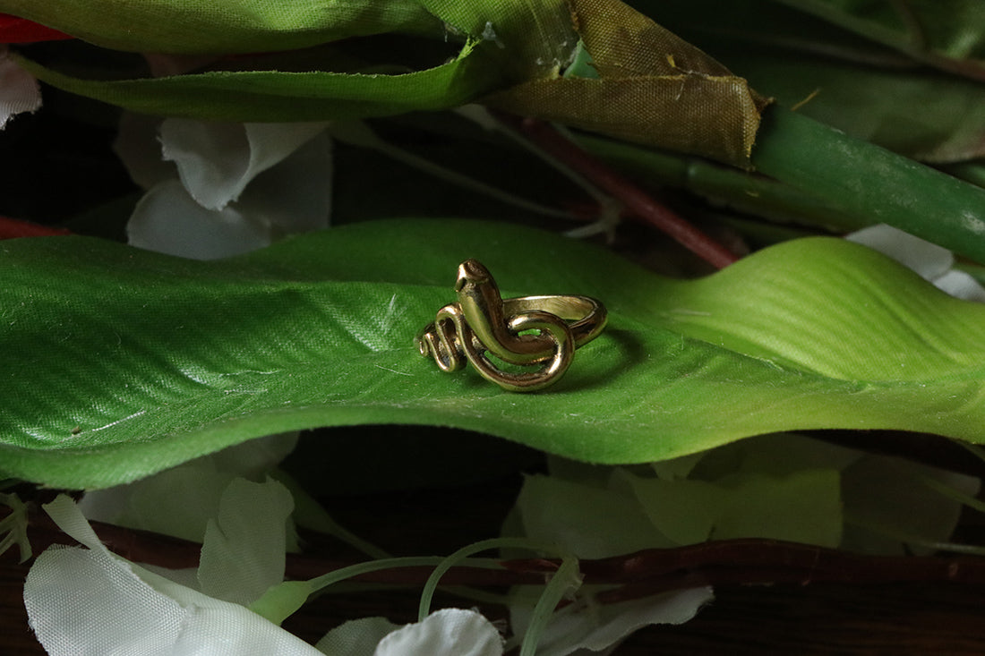 Wrap Snake Ring