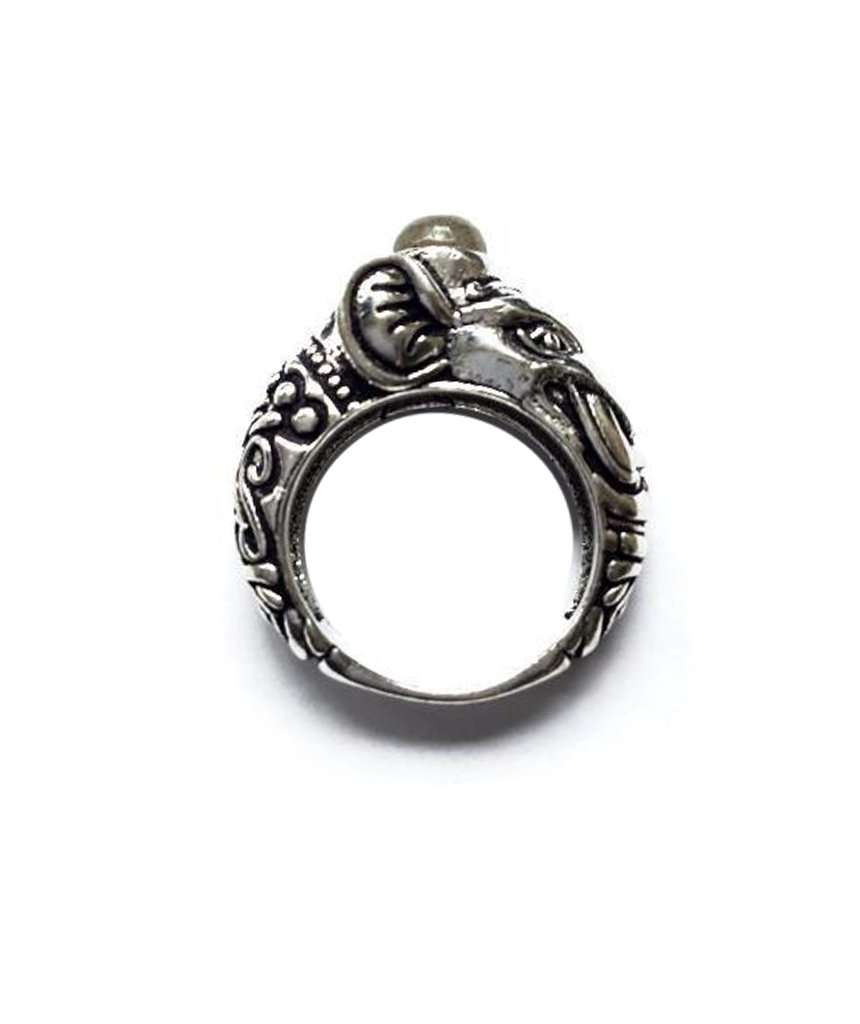 Circus Elephant Ring