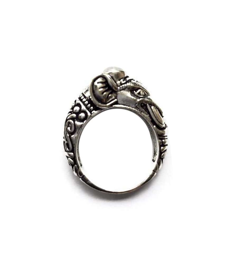Circus Elephant Ring