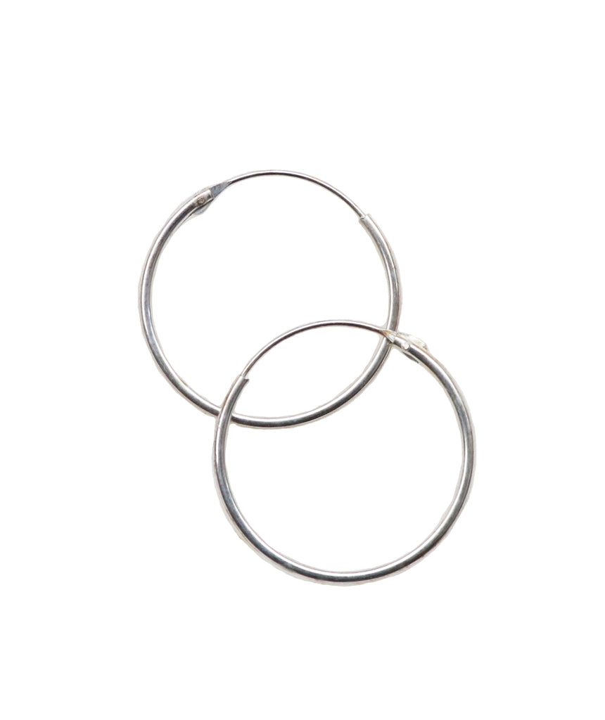 Elegant Hoop Earrings