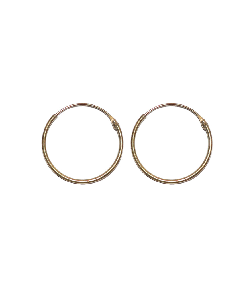 Elegant Hoop Earrings