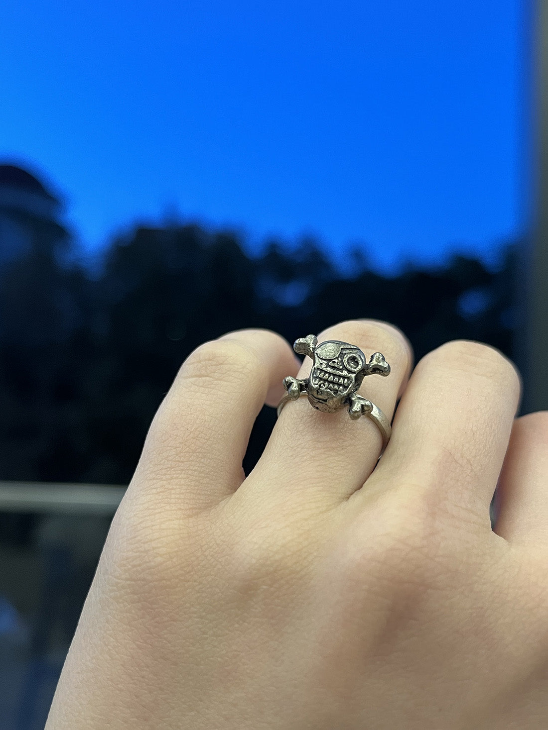 Skull Assorted Ring