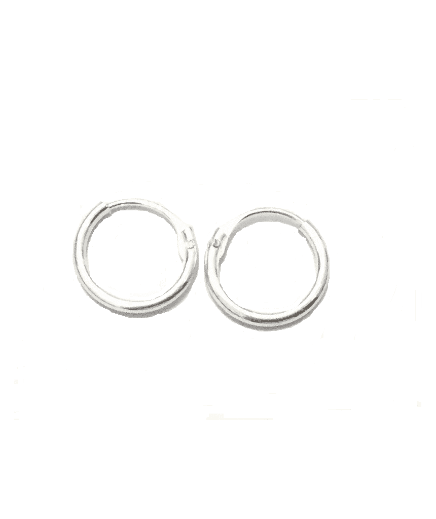 Silver Small Elegant Hoop Earrings