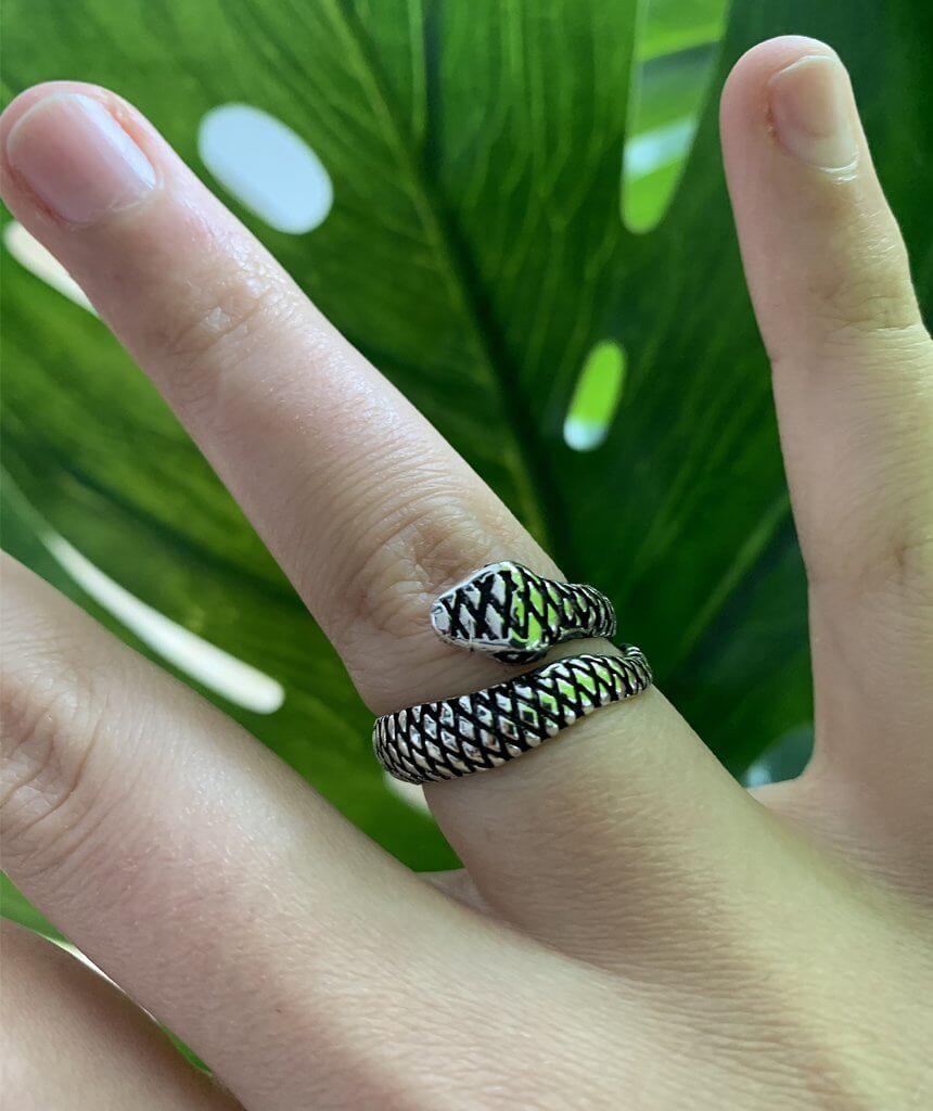 SIlver Snake Wrap Ring