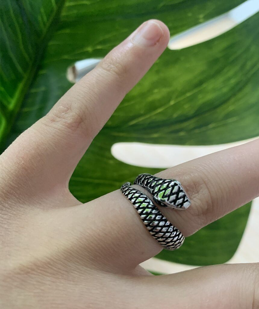 SIlver Snake Wrap Ring