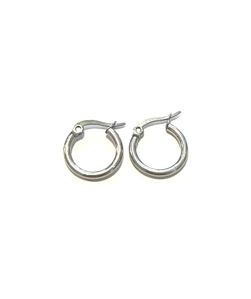 Stainless Steel Hoops