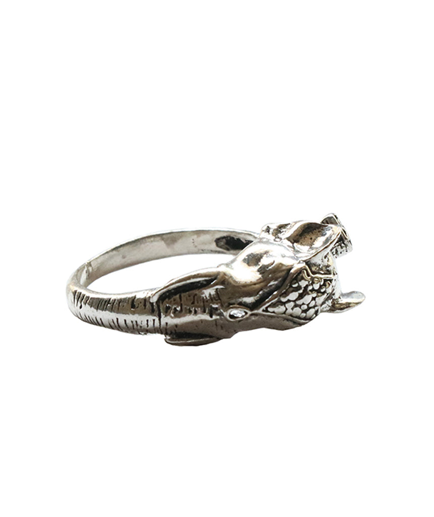 Elephant Ring