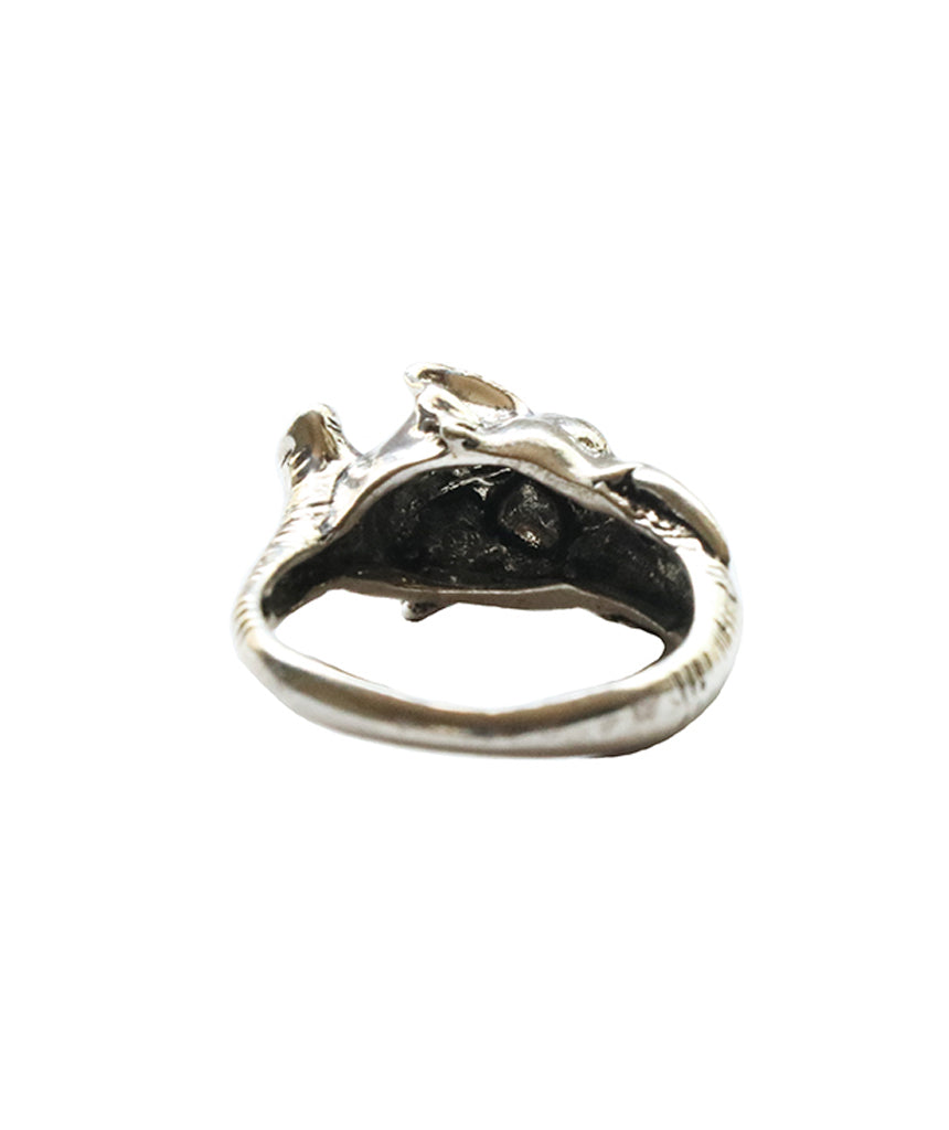 Elephant Ring