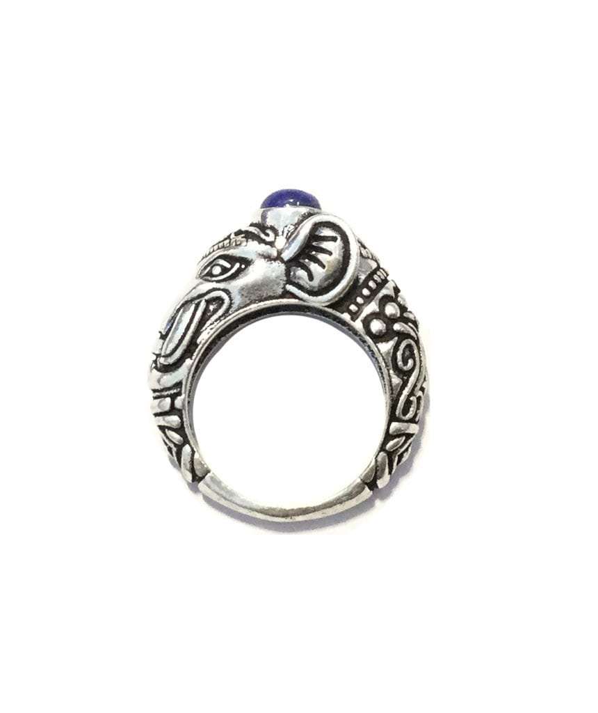 Circus Elephant Ring