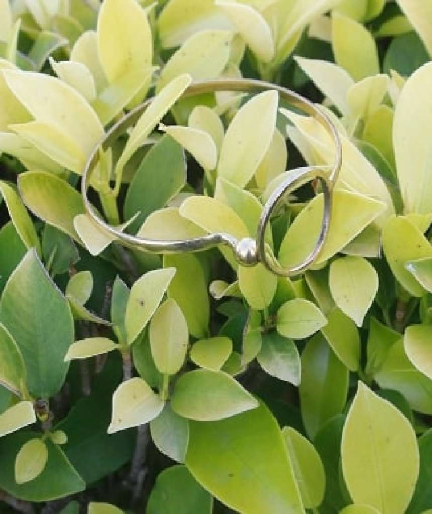 Simple Circle Bracelet