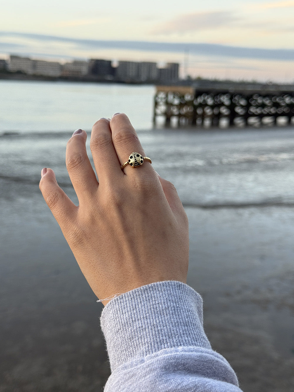 Ladybug Ring