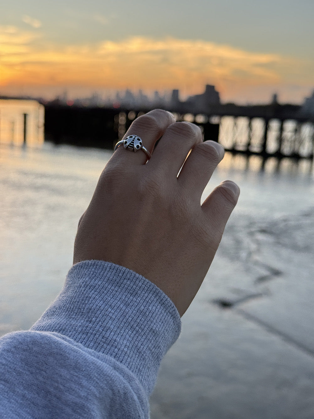 Ladybug Ring