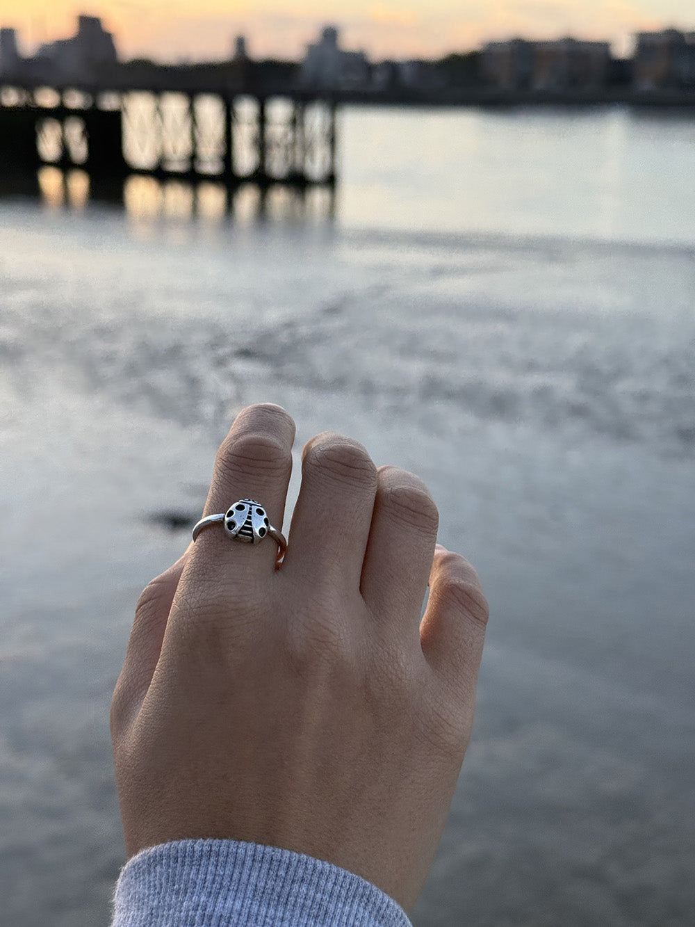 Ladybug Ring