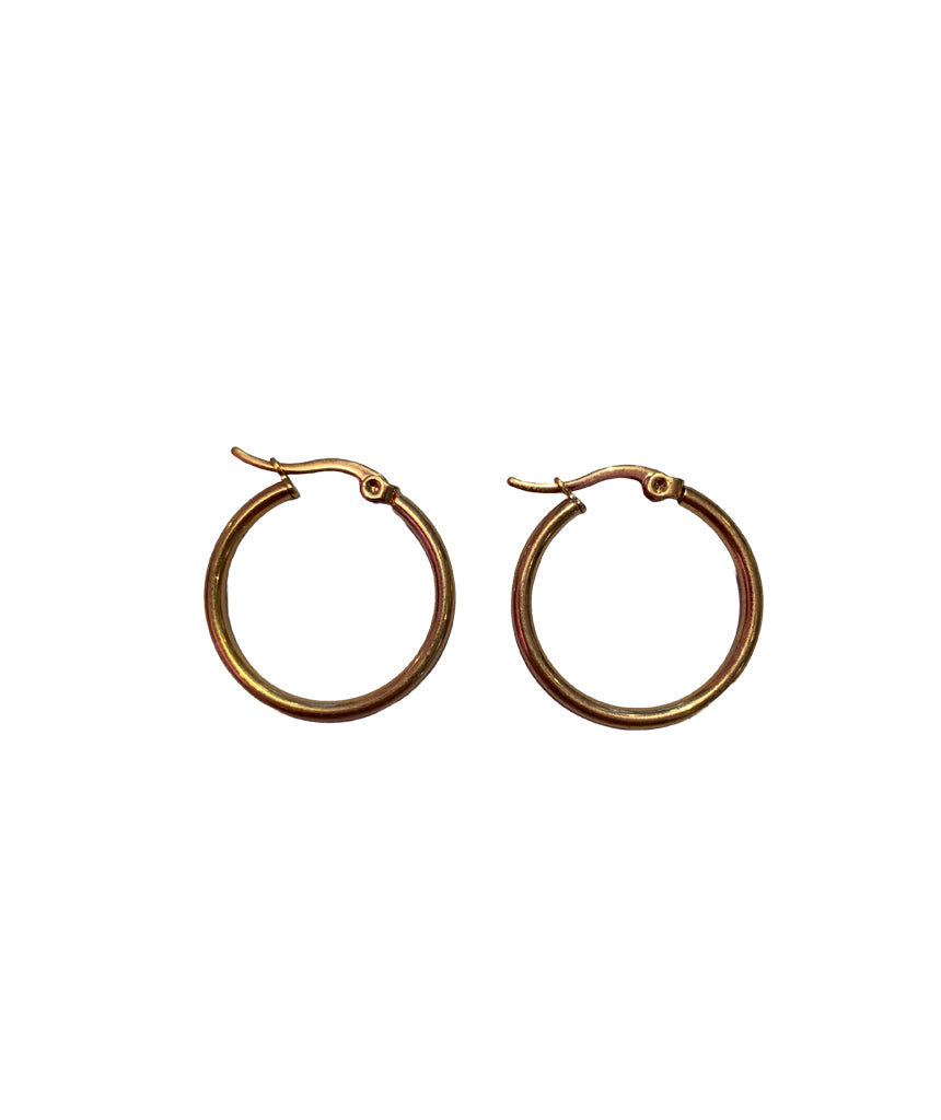 Rose Gold Stainless Steel Hoops