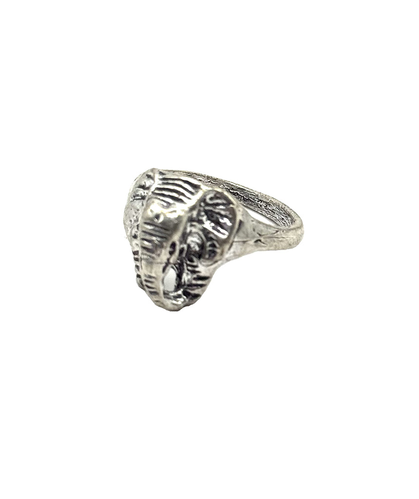 Elephant Ring