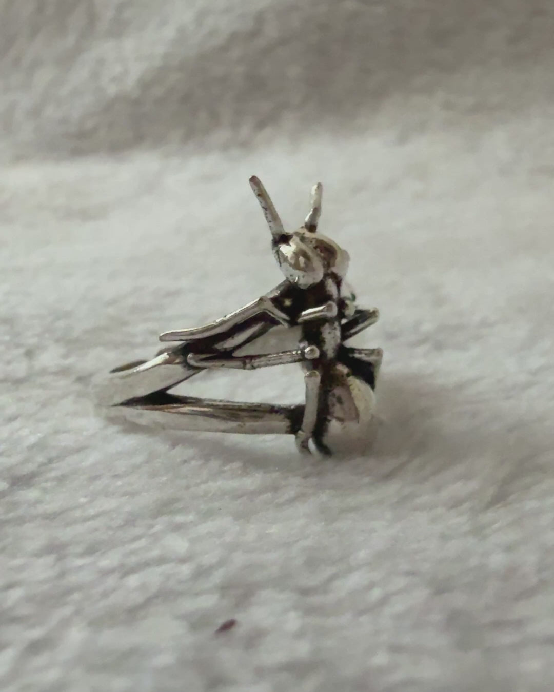 Ant Ring