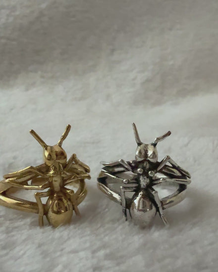 Ant Ring