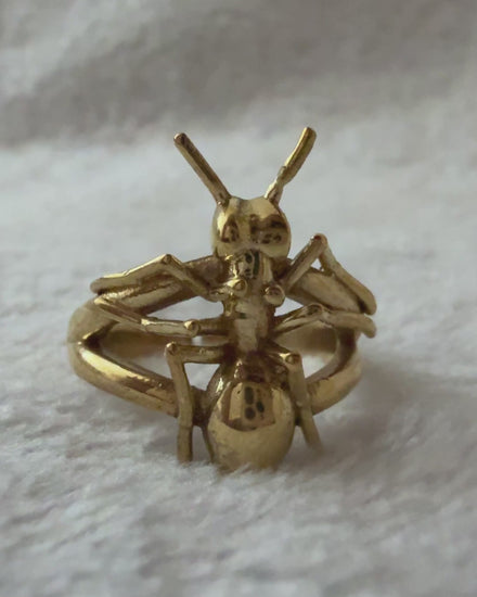 Ant Ring