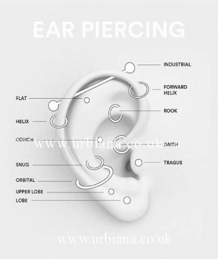 Surgical Steel  Tragus