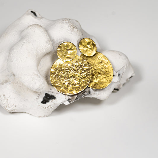 Elegant gold earrings with double circle