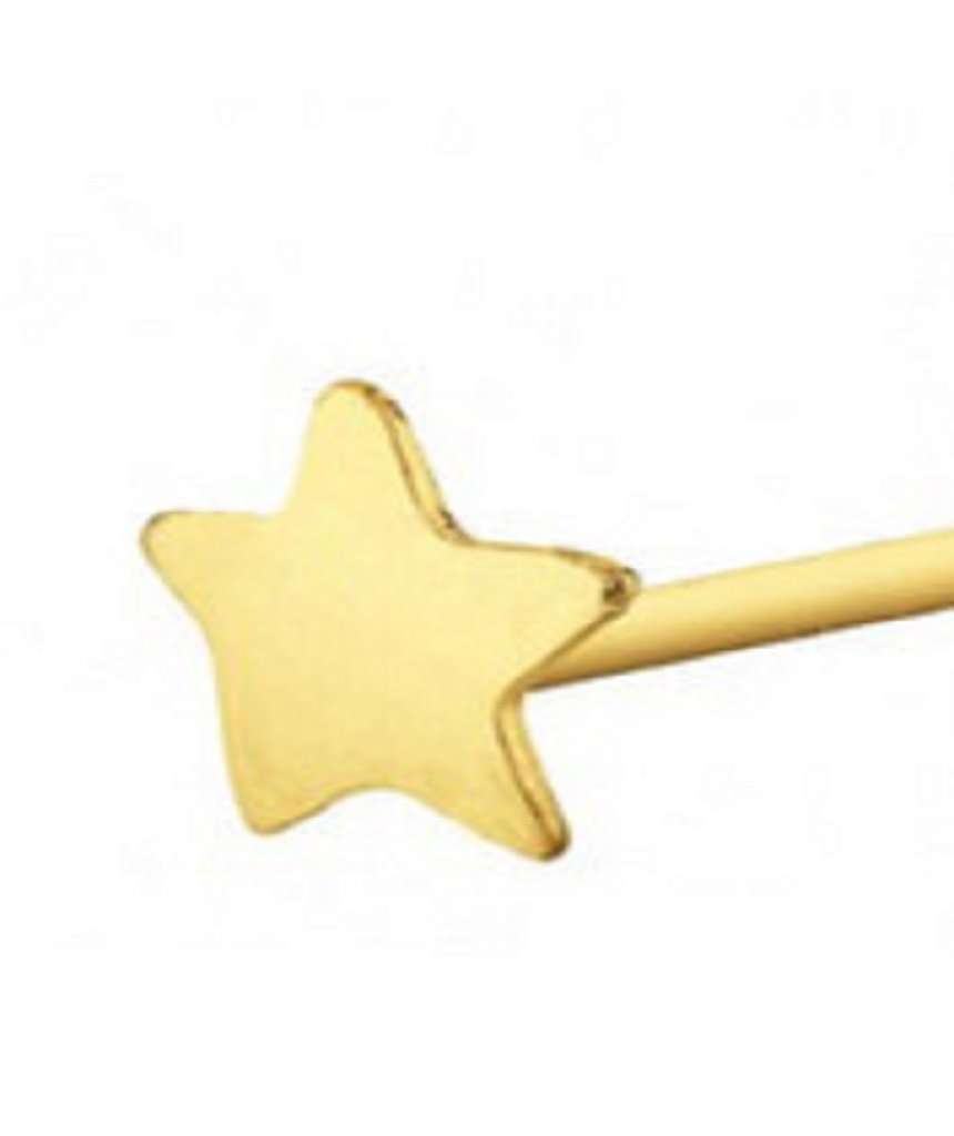 Gold Plated Star Nose Stud