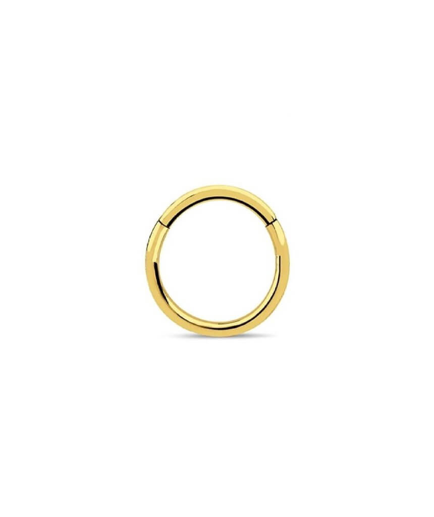 Gold Surgical Steel Hinged Septum