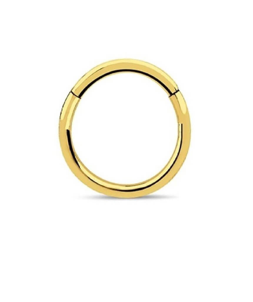 Gold Surgical Steel Hinged Septum
