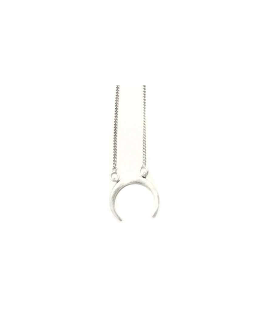 Silver Horn Pendant Necklace