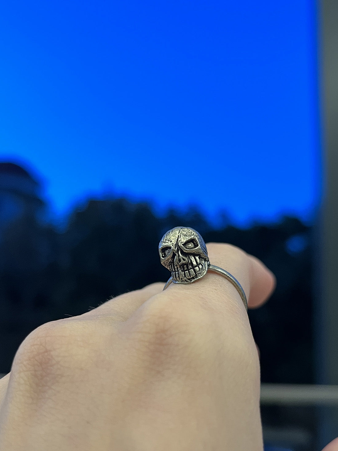 Skull  Assorted Ring
