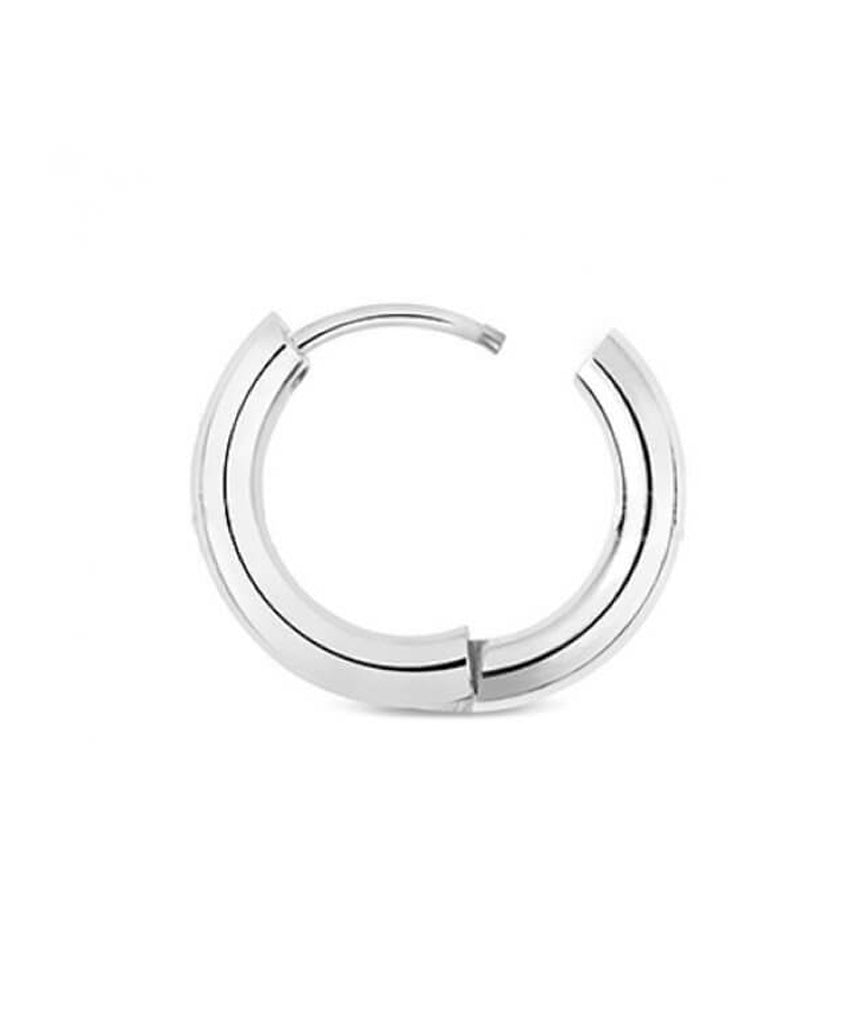 Stainless Steel Hoop Earrings